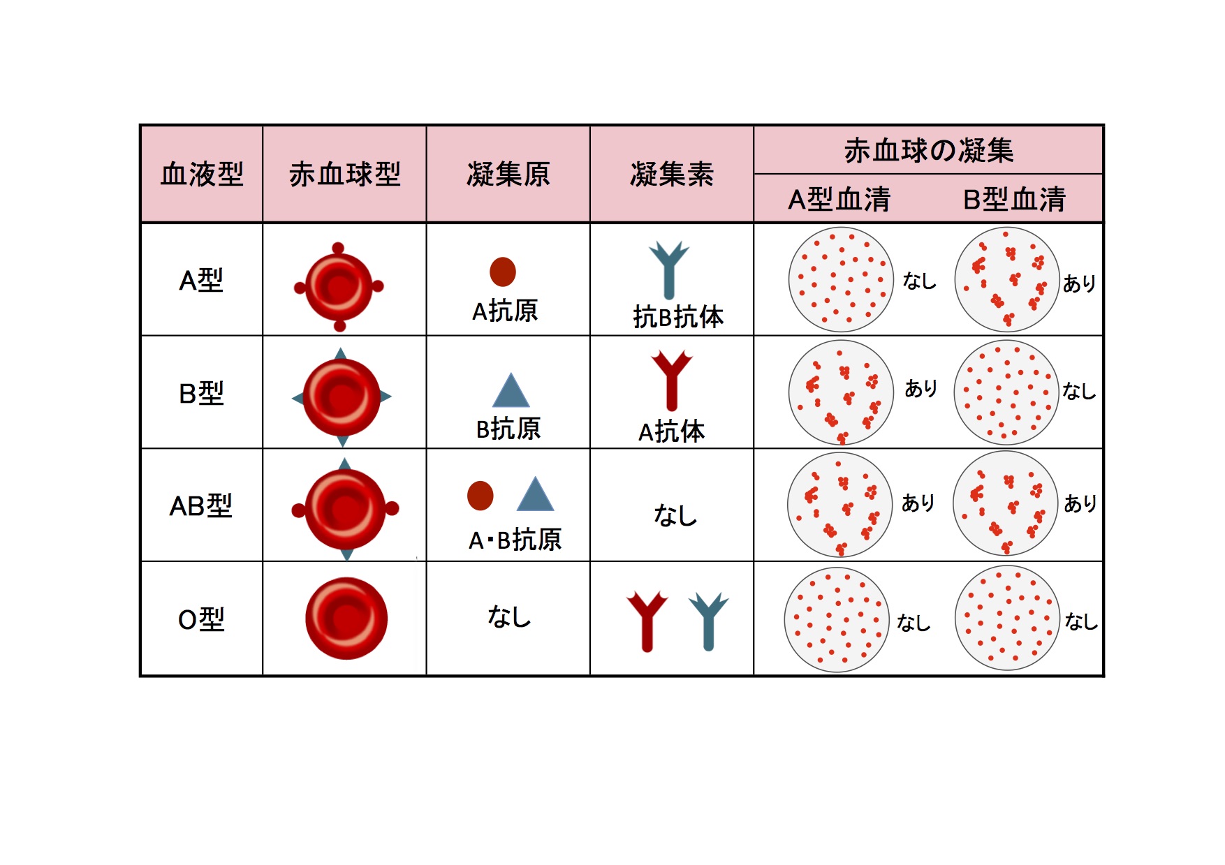 血液型に応じて食べ物を食べる